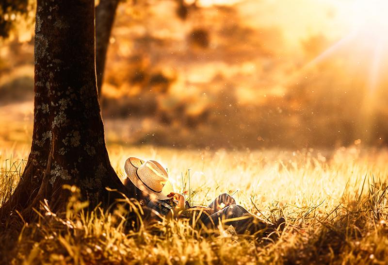 Component Twilight: Navigating Obsolescence Risks
 Riding the Wave: Taming EOL Supply Chain Tides
 Obsolescence Edge: Smart Strategies for Components
 Outlasting Obsolescence: Secure Component Supplies